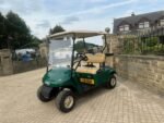 2015 EZ-GO PETROL GOLF BUGGY/CART