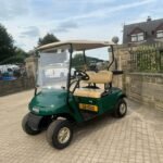 2015 EZ-GO PETROL GOLF BUGGY/CART