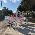 2025 CAPTOK ELECTRIC SELF DRIVE WEDDING EVENT CARRIAGE