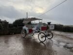 NEW/UNUSED 2025 CAPTOK MCE ELECTRIC SELF DRIVE WEDDING EVENT CARRIAGE - Image 3
