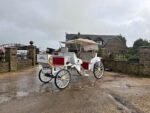 NEW/UNUSED 2025 CAPTOK MCE ELECTRIC SELF DRIVE WEDDING EVENT CARRIAGE
