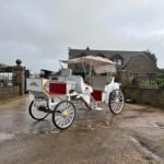 NEW/UNUSED 2025 CAPTOK MCE ELECTRIC SELF DRIVE WEDDING EVENT CARRIAGE