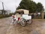 NEW/UNUSED 2025 CAPTOK MCE ELECTRIC SELF DRIVE WEDDING EVENT CARRIAGE - Image 5